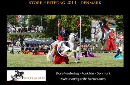 store hestedag 2013 - denmark