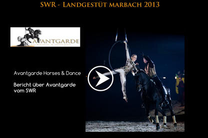 SWR - Landgestt marbach 2013